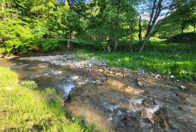 Teren de 12.000 mp la Vama Buzăului - Locație de Vis cu PUZ Aprobat - 5