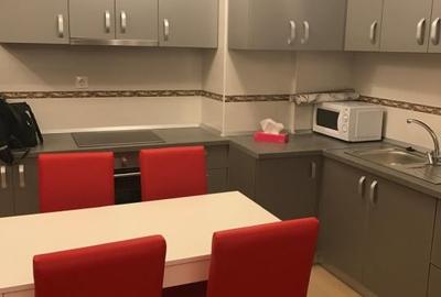Apartament cu 2 camere semidecomandat, mobilat în Gheorgheni - 3