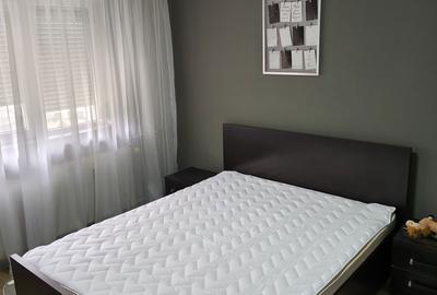 Apartament cu 2 camere decomandat în Brazda lui Novac - 7