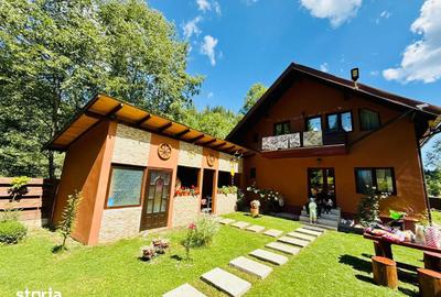 Casă cu 4 camere cu Teren 5500 Mp în Pojorâta - 13