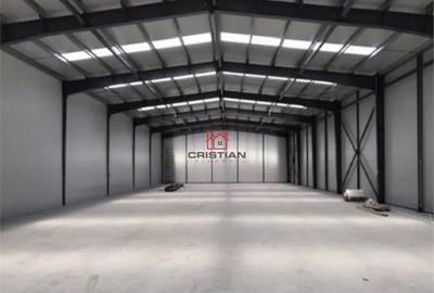 Spațiu comercial, de 975 mp, în Jilava - 3