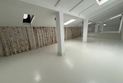 Vila deosebita zona Piata victoriei pentru office - 9