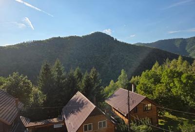 Cabana de vanzare, 200 utili, 600 teren, locatie de Vis -Muntele Rece - 3