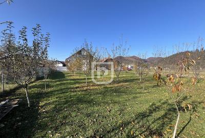 Casă cu 3 camere cu Teren 1481 Mp în Bucșoaia - 3