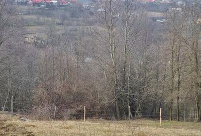 Teren de 4200 mp, în Drajna - 6