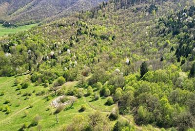 Teren Intravilan parcele 1000mp - 1