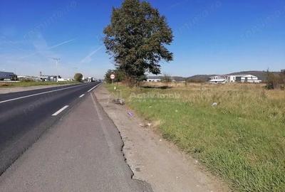 Teren intravilan 3000 mp constructii industriale - 5