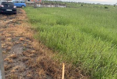 Spațiu comercial, în Bradu - 5