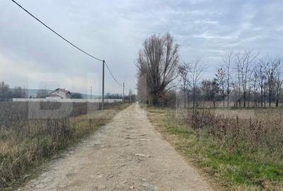 Teren Construcții extravilan de 5792 mp, în Popoveni - 2