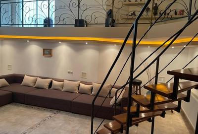 Casa D+P+2E, Banat- Stadion, teren 936mp, mobilata - 23