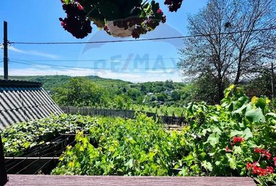 Casa cu Toate Utilitatile,Vedere Panoramica,Livada-Stefanesti, Arges - 12