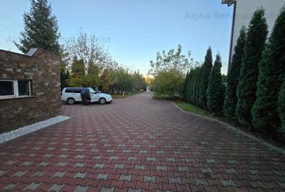 Casă cu Teren 1100 Mp în Viișoara - 13