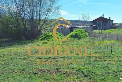 Casă cu 3 camere cu Teren 500 Mp în Bucovăț