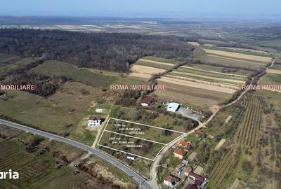 Teren de 6650 mp, în Remetea Chioarului - 12