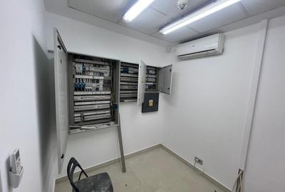 Casă individuală cu 30 camere cu Canalizare în Grădina Icoanei - 23