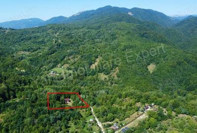 Casă cu 5 camere cu Teren 6842 Mp în Brădetu - 17