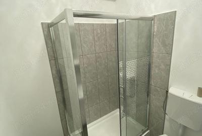 Garsonieră în Dumbrăvița - 10