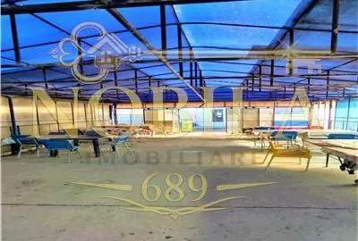 Spațiu comercial, de 500 mp, în Buciumi - 7