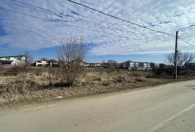 Domnesti, Teghes, teren in suprafata de 21278mp, deschidere 41ml, gaz si curent. - 3