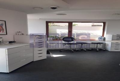 VANZARE VILA S+P+4E | ZONA AVIATORILOR | OPORTUNITATE - 13