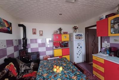 Casa 3 Camere, beci, magazie, mansarda – 500 mp Teren - 7