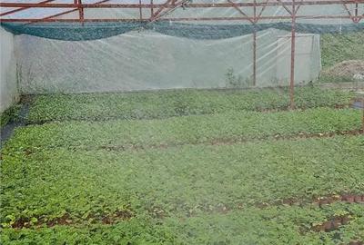 Spațiu comercial, de 1,300 mp, în Blăjenii de Jos - 5