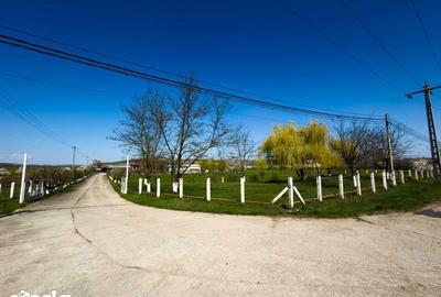 Teren de 21606 mp, în Central - 1