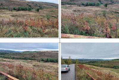 Teren extravilan pasune Ardeoani, ID: R2404603 - 7