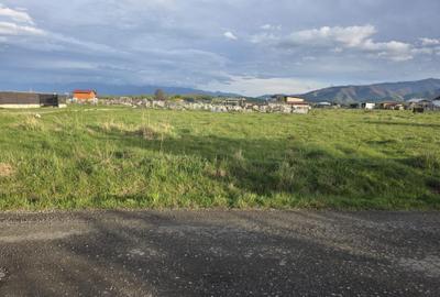 Teren de 405 mp, în Exterior Vest - 6