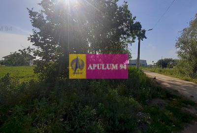 Teren Construcții intravilan de 5000 mp, în Copăceni - 9