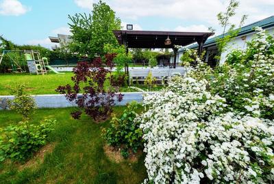 Proprietate unica, independenta energetic, zona Bucium Proprietate unica, independenta energetic, zona Bucium - 40