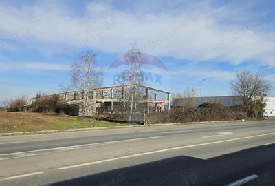 Teren de 8412 mp, în Blejoi - 1