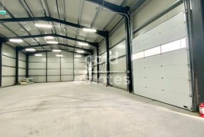 2 HALE INDUSTRIALE 1250MP+CLADIRE BIROURI 210MP/TEREN 3500MP/ PIATRA NEAMT/2023 - 9