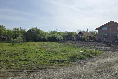 Spațiu comercial, în Central - 2