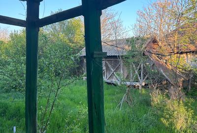 Teren de 2000 mp, în Dumitrești - 4