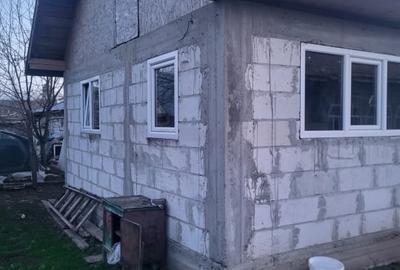 Casă cu teren 2272 mp - Vasilati, Calărași, put, curent, asfalt - 6