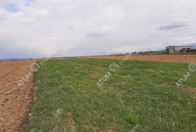 Eren intravilan 1400 mp de pe Valea Avrigului - 7