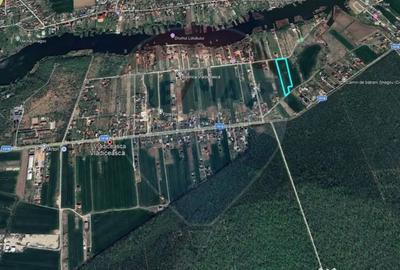 Teren de 9195 mp, în Vlădiceasca