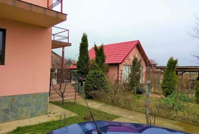 Casă cu 3 camere cu Teren 1880 Mp în Măgurele - 2