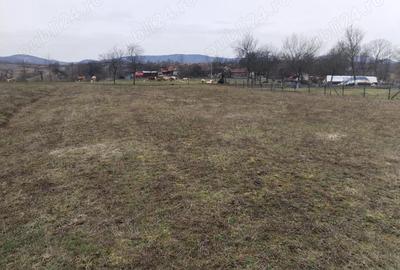 Teren de 3000 mp, în Vața de Jos - 2