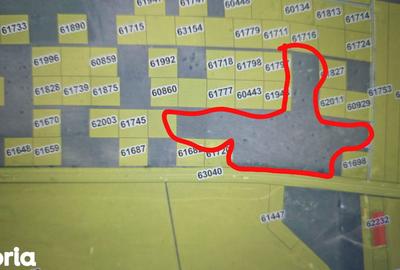 Teren de 15000 mp, în Dumești - 2