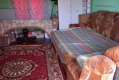 Casă cu 2 camere cu Teren 345 Mp în Mirăslău - 7