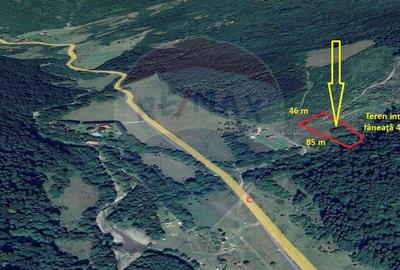 Teren de 4003 mp, în Babarunca - 8