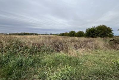 Teren agricol intravilan de 15000 mp, în Ionești - 4