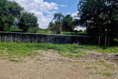 Teren 2743 mp, 2 fronturi, asfalt Vii?oara, Neam? - 20