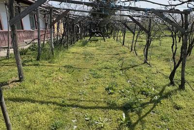 Casă cu 3 camere cu Teren 3000 Mp în Rasa