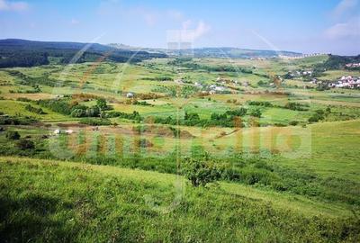Teren de vanzare in Cluj-Napoca, Strada Soporului 5.753 mp - 1