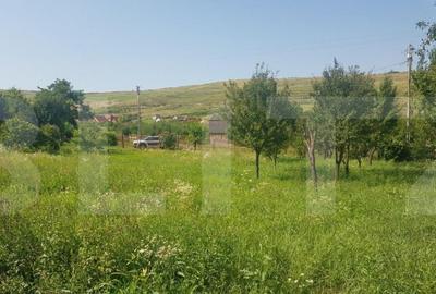 Teren de 11600 mp, în Someșeni - 3