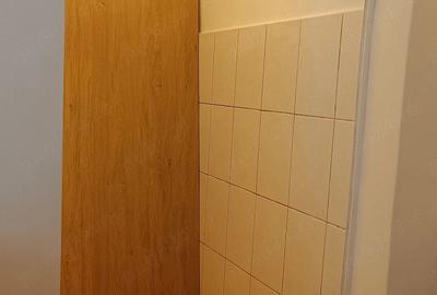 Garsonieră semidecomandată în Pantelimon - 9