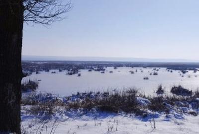 Vand teren intravilan 4000MP cu  dechidere la Delta Neajlovului, Comana GR - 10